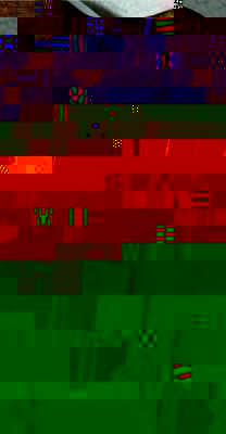 Kopf.jpg