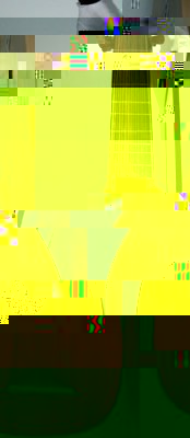 aktuell_frontal.jpg