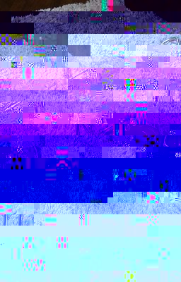 05a.jpg