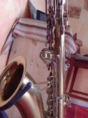 SA1.JPG