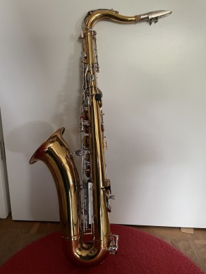 Saxophon links.jpeg