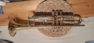 20241016_195005.jpg