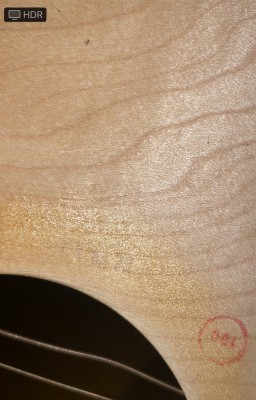 IMG_9921.jpeg