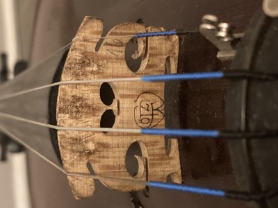 IMG_1127.jpeg