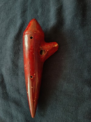 IMG20250312145515.jpg