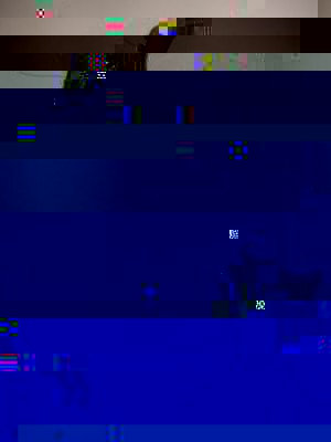 PICT6661_komp.JPG
