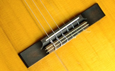 DSCF1238.JPG