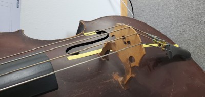 small_20250422_103852.jpg
