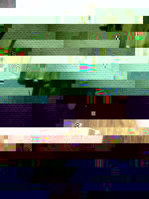 PICT6692_komp.JPG