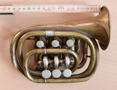 Taschentrompete oben.jpg