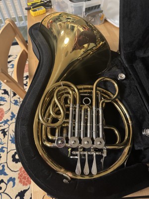 Double Horn