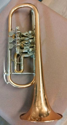 D-Trompete(1).png