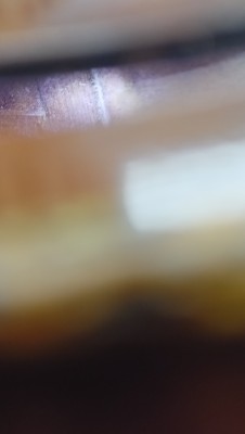 IMG20251004160538.jpg