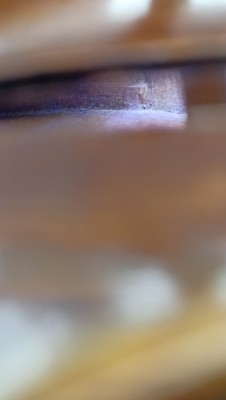 IMG20251004160302.jpg