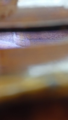 IMG20251004160141.jpg