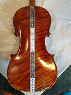 violin_back.jpg