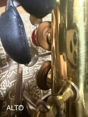 IMG_7555.jpeg