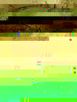 3831b.jpg